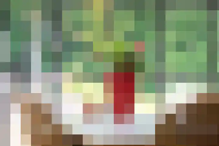 Sengersweg 5 Aarle-Rixtel thumbnail 14