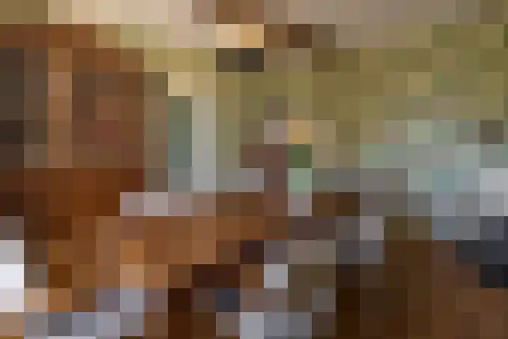 Sengersweg 5 Aarle-Rixtel thumbnail 16