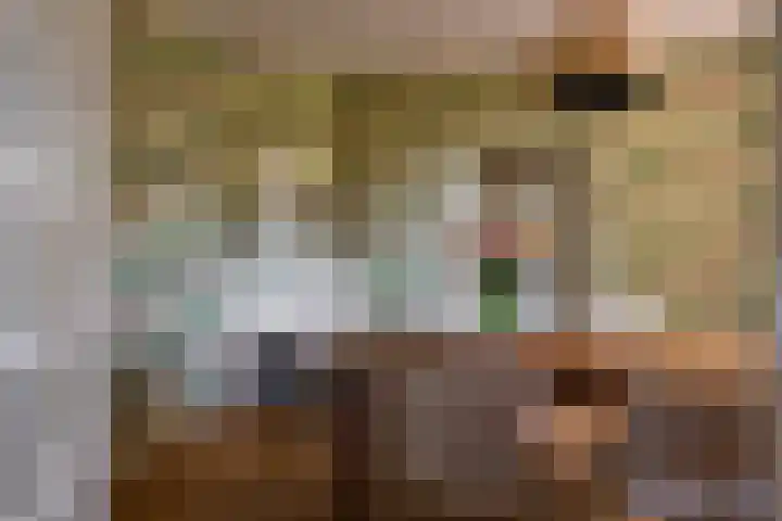 Sengersweg 5 Aarle-Rixtel thumbnail 18