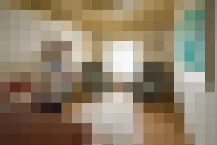 Sengersweg 5 Aarle-Rixtel thumbnail 23