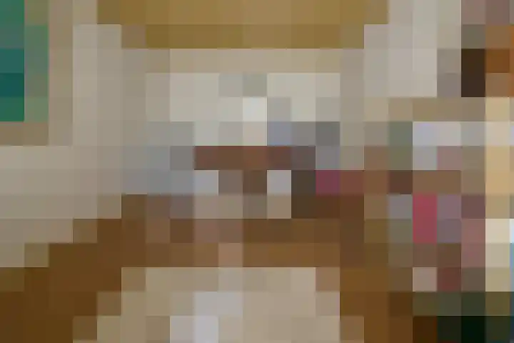Sengersweg 5 Aarle-Rixtel thumbnail 24