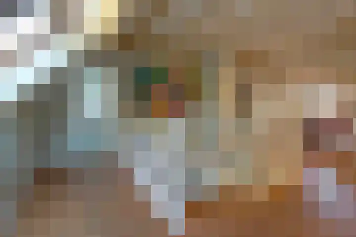Sengersweg 5 Aarle-Rixtel thumbnail 26