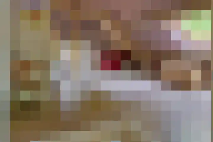 Sengersweg 5 Aarle-Rixtel thumbnail 28