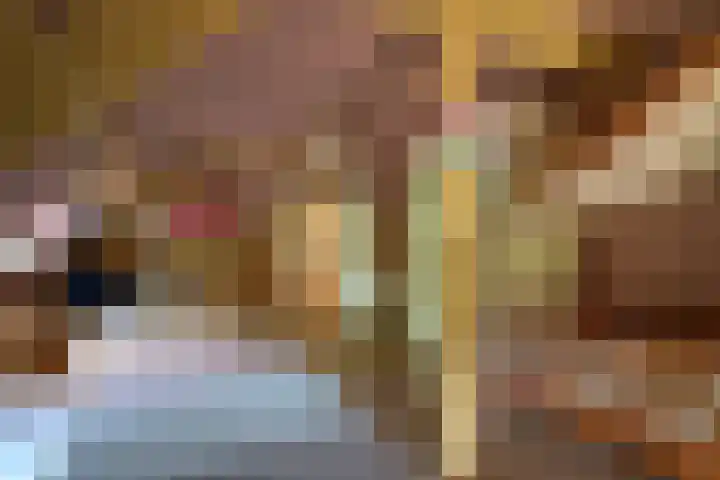 Sengersweg 5 Aarle-Rixtel thumbnail 30