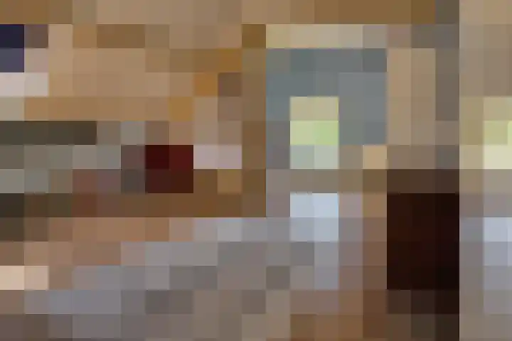 Sengersweg 5 Aarle-Rixtel thumbnail 31