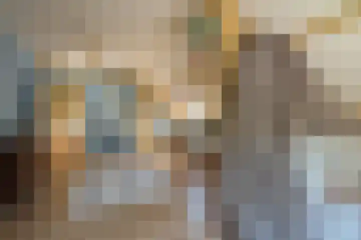 Sengersweg 5 Aarle-Rixtel thumbnail 32