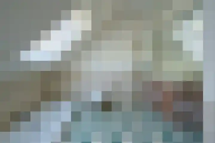 Sengersweg 5 Aarle-Rixtel thumbnail 33