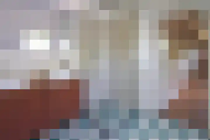 Sengersweg 5 Aarle-Rixtel thumbnail 34