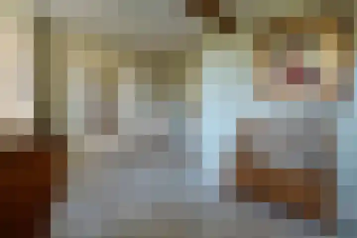 Sengersweg 5 Aarle-Rixtel thumbnail 4
