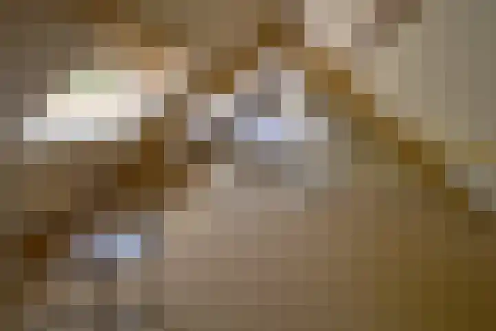 Sengersweg 5 Aarle-Rixtel thumbnail 42