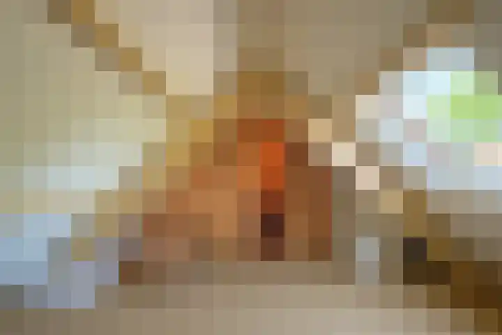 Sengersweg 5 Aarle-Rixtel thumbnail 43