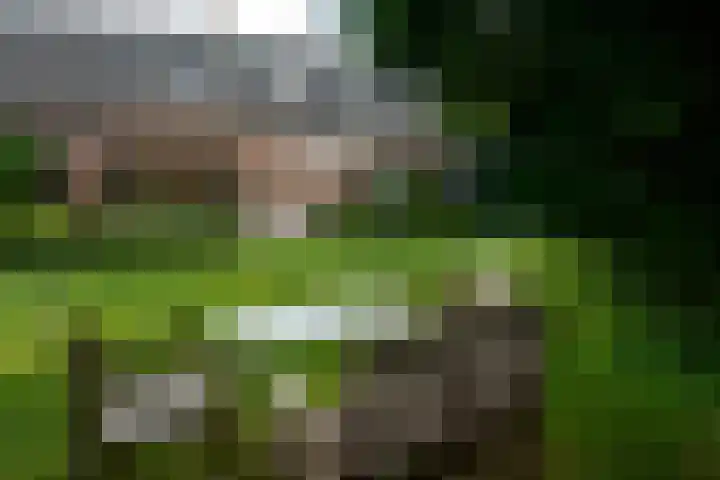 Sengersweg 5 Aarle-Rixtel thumbnail 46