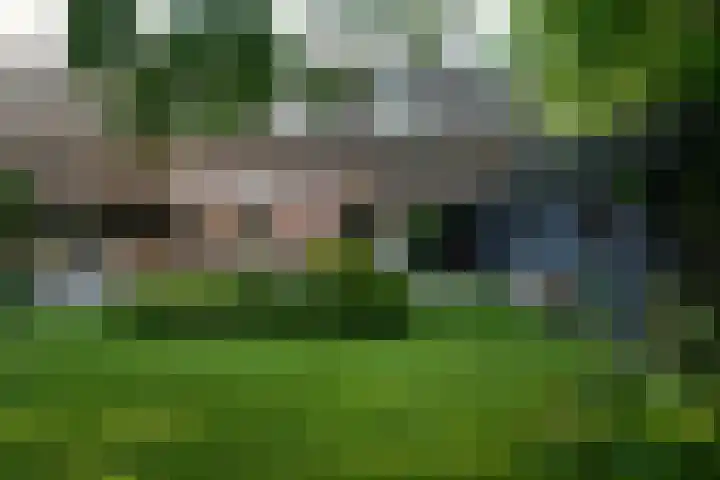 Sengersweg 5 Aarle-Rixtel thumbnail 47