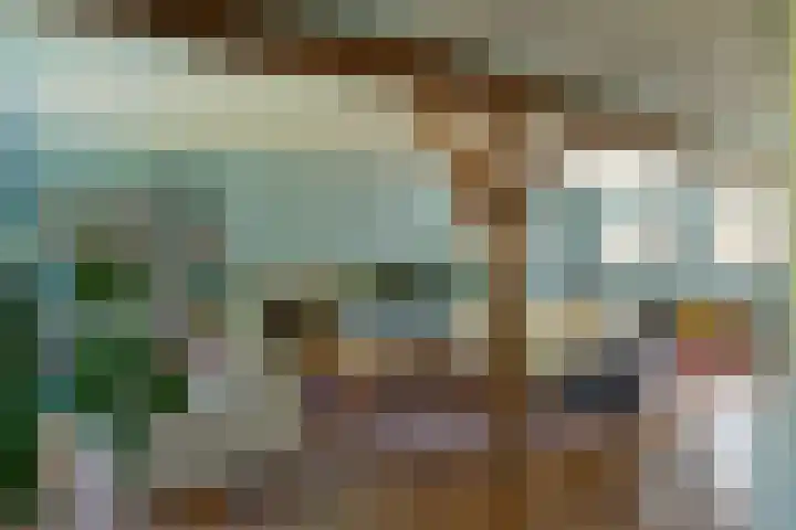 Sengersweg 5 Aarle-Rixtel thumbnail 5