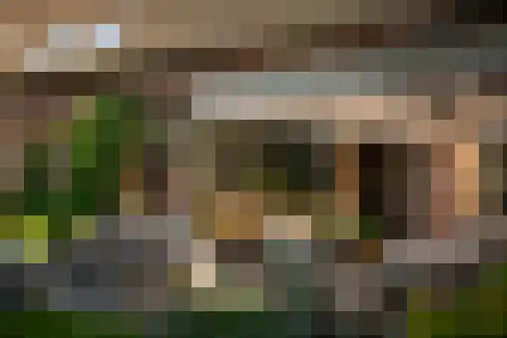 Sengersweg 5 Aarle-Rixtel thumbnail 51