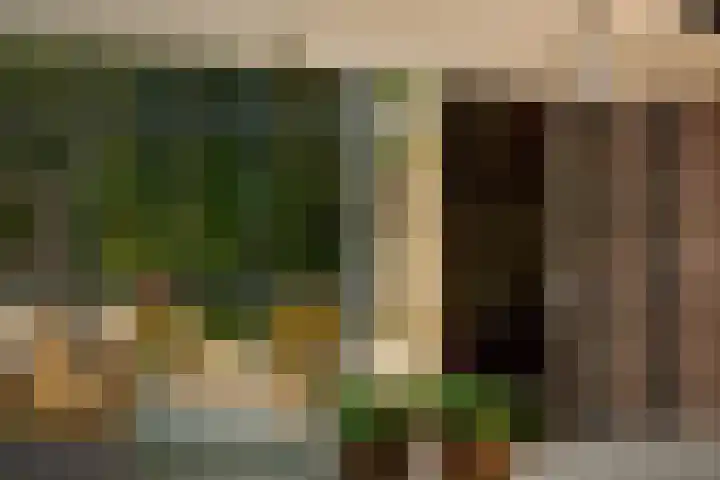 Sengersweg 5 Aarle-Rixtel thumbnail 52