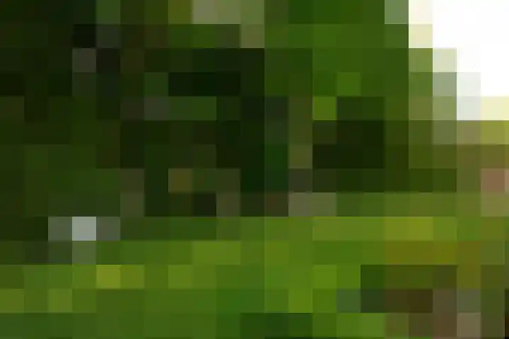 Sengersweg 5 Aarle-Rixtel thumbnail 53