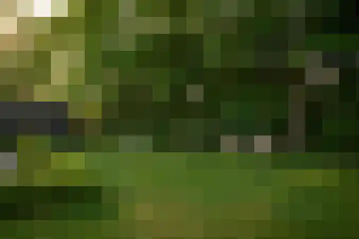 Sengersweg 5 Aarle-Rixtel thumbnail 54