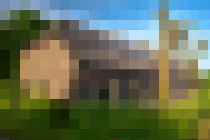 Sengersweg 5 Aarle-Rixtel thumbnail 55