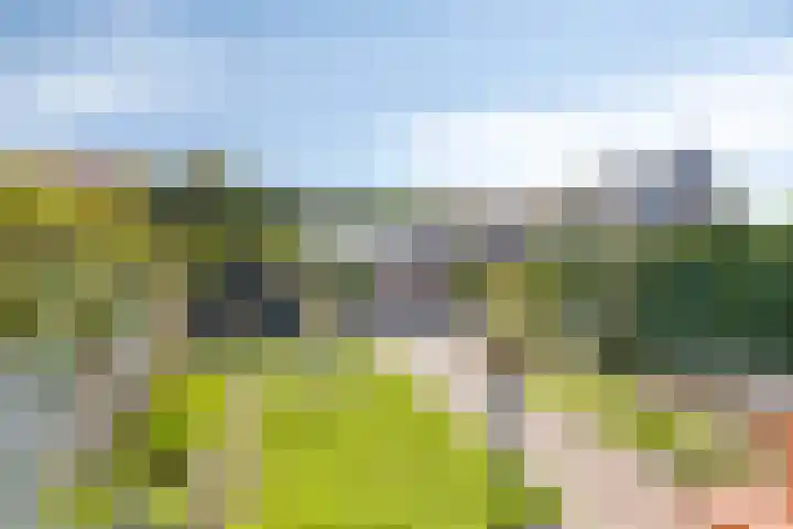 Senneroog 12 Groningen thumbnail 12