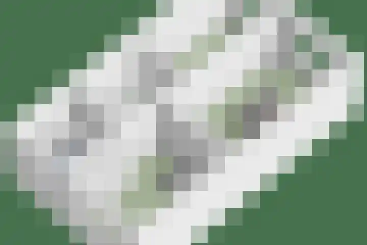 Senneroog 12 Groningen thumbnail 34