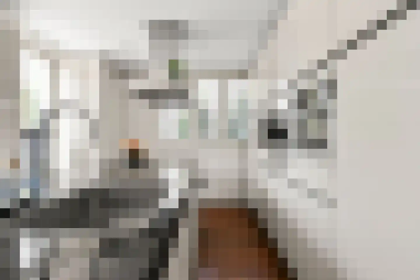 Seoellaan 39 Nieuw-Vennep thumbnail 18