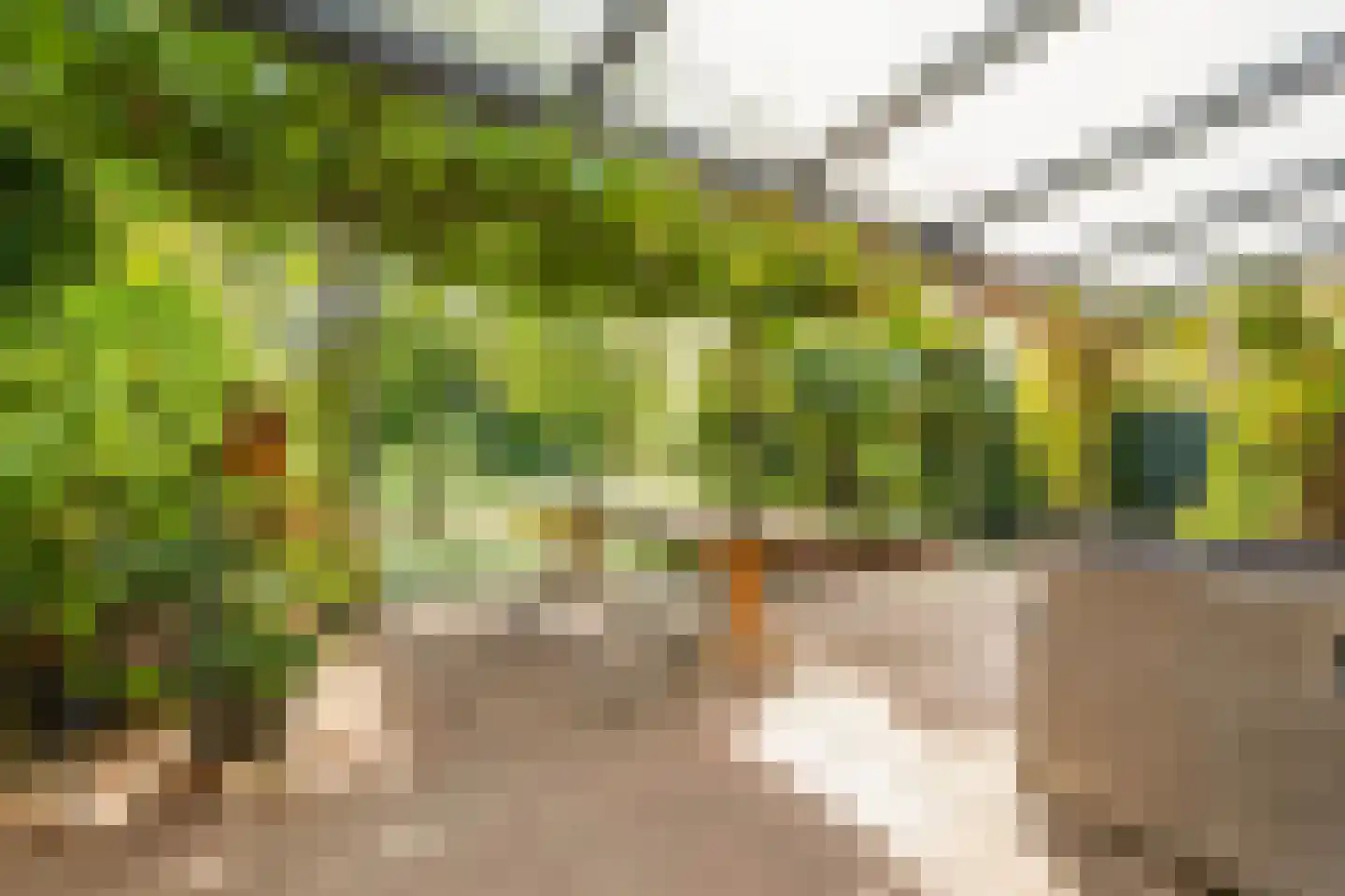 Seoellaan 40 Nieuw-Vennep thumbnail 10