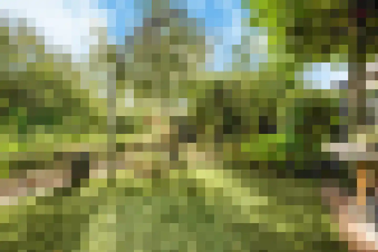 Seoellaan 40 Nieuw-Vennep thumbnail 11