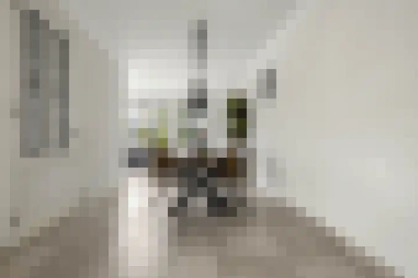 Seoellaan 40 Nieuw-Vennep thumbnail 24