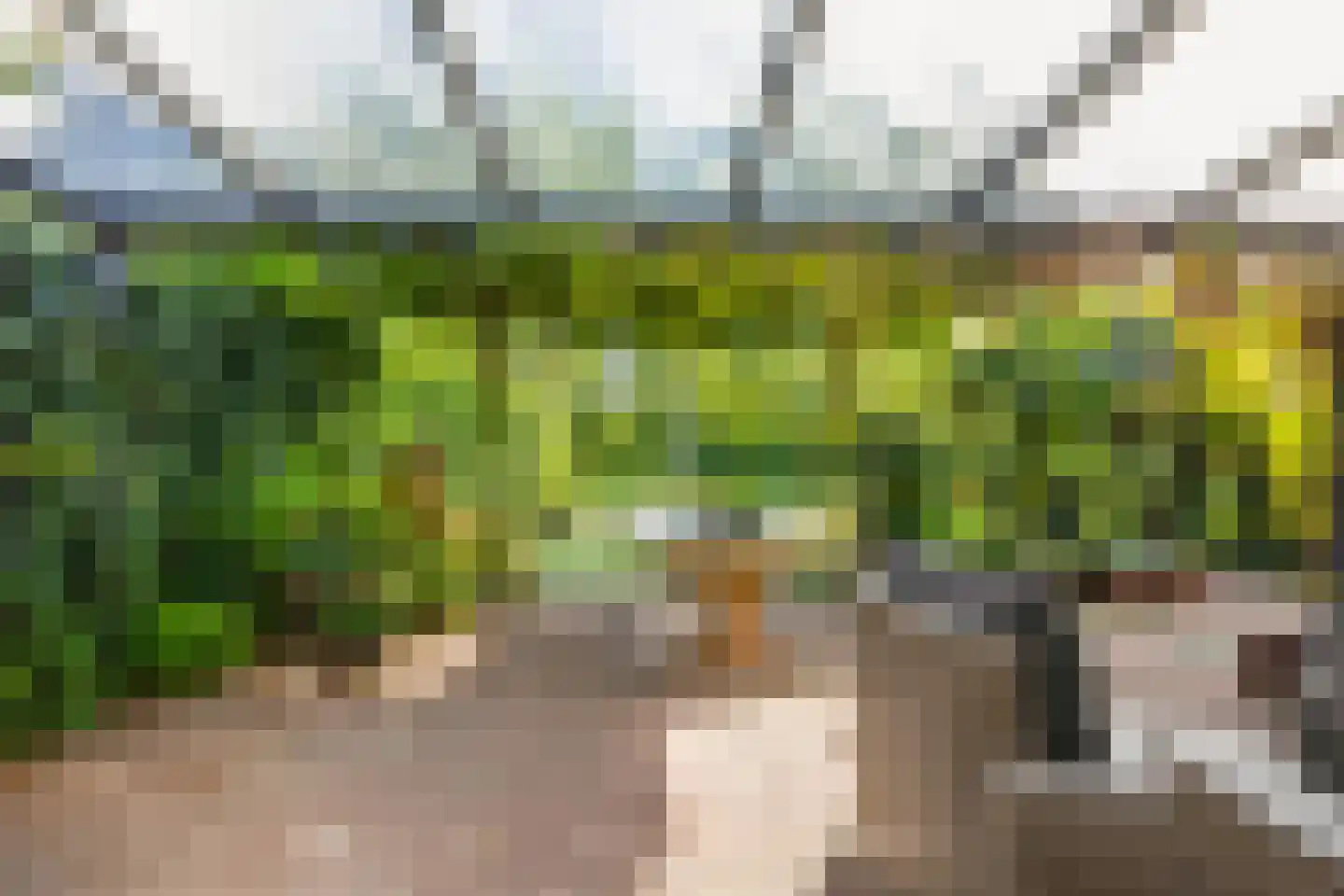 Seoellaan 40 Nieuw-Vennep thumbnail 34