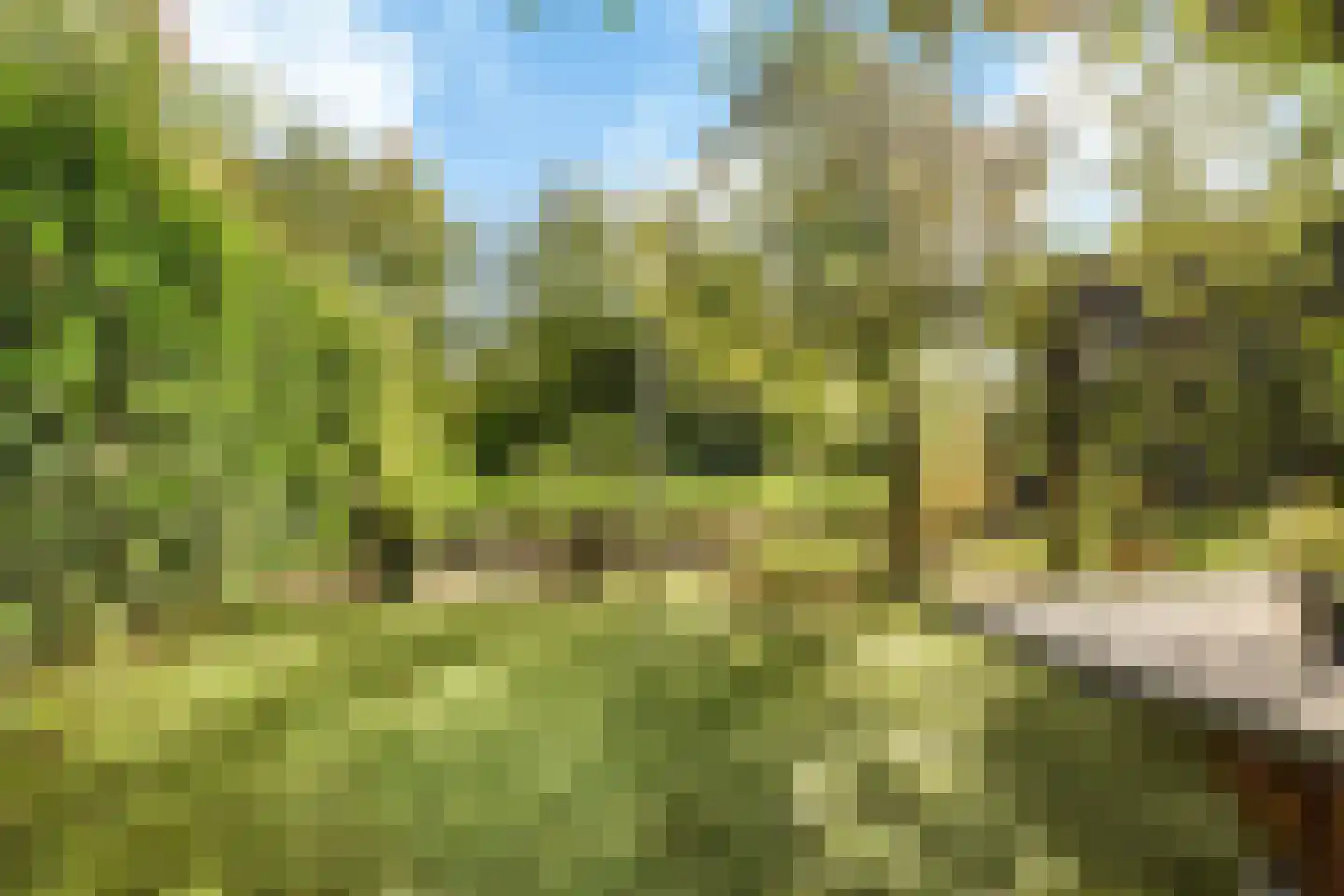 Seoellaan 40 Nieuw-Vennep thumbnail 38