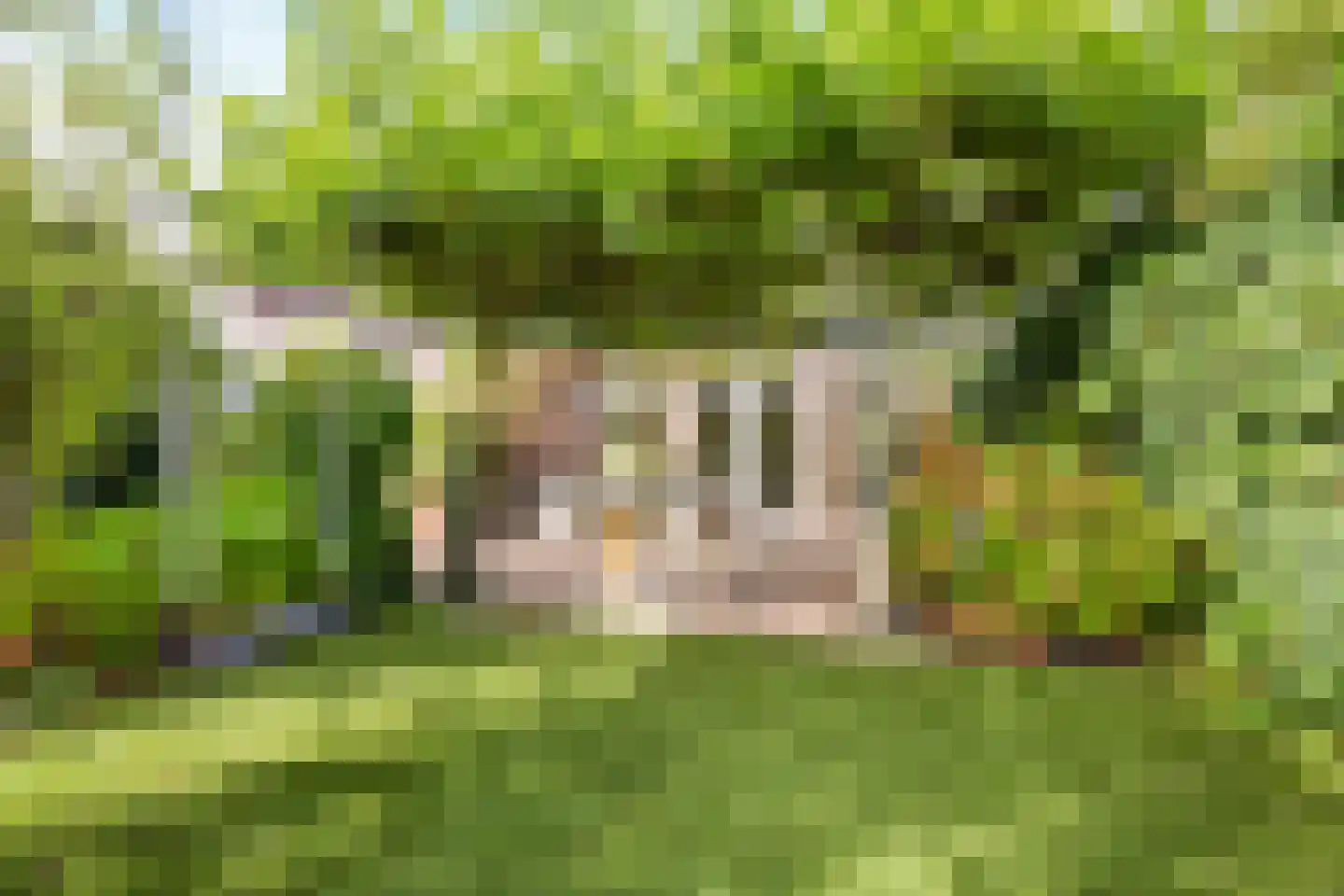 Seoellaan 40 Nieuw-Vennep thumbnail 39