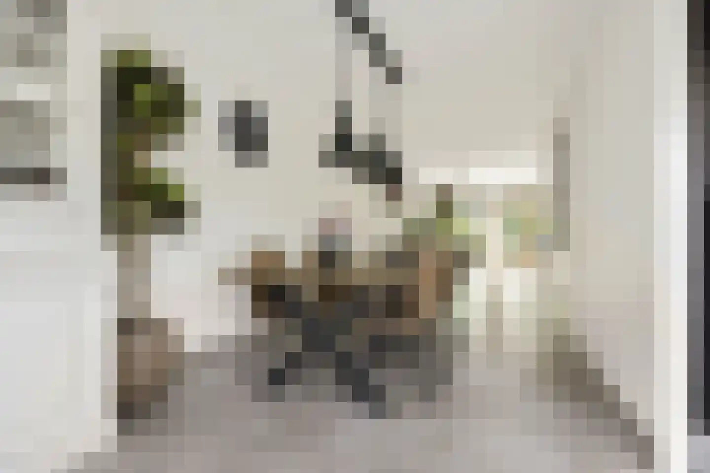 Seoellaan 40 Nieuw-Vennep thumbnail 4