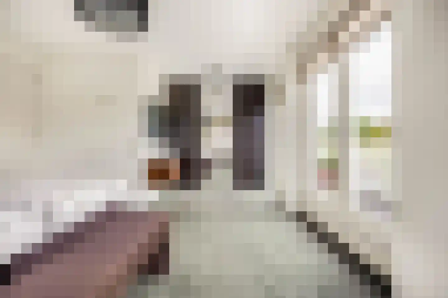 Seoellaan 40 Nieuw-Vennep thumbnail 8