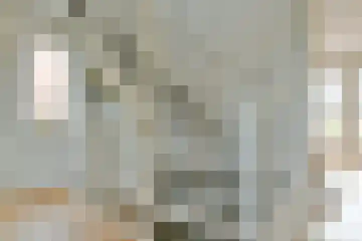 Seoellaan 5 Nieuw-Vennep thumbnail 26