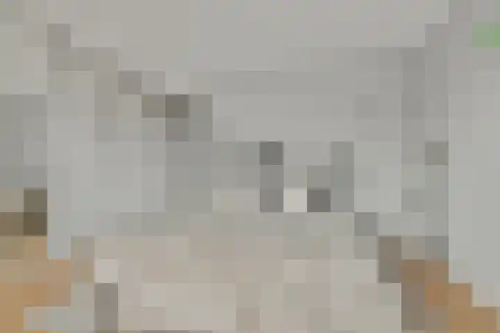 Seoellaan 5 Nieuw-Vennep thumbnail 28