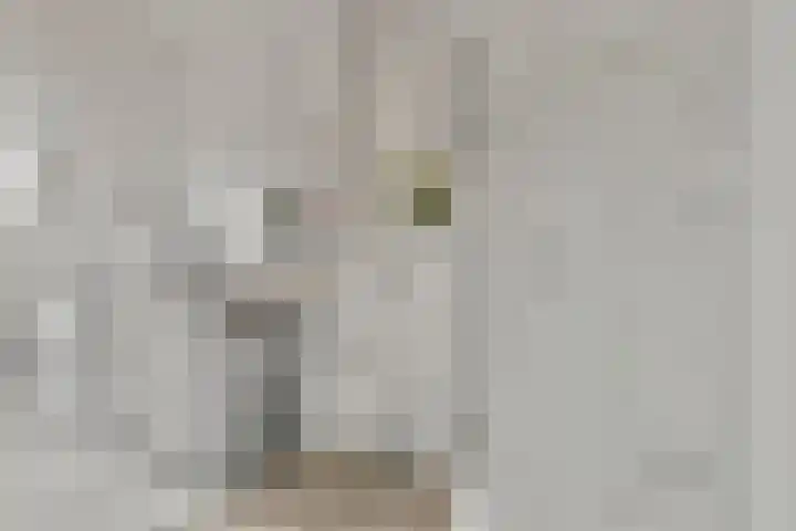Seoellaan 5 Nieuw-Vennep thumbnail 39