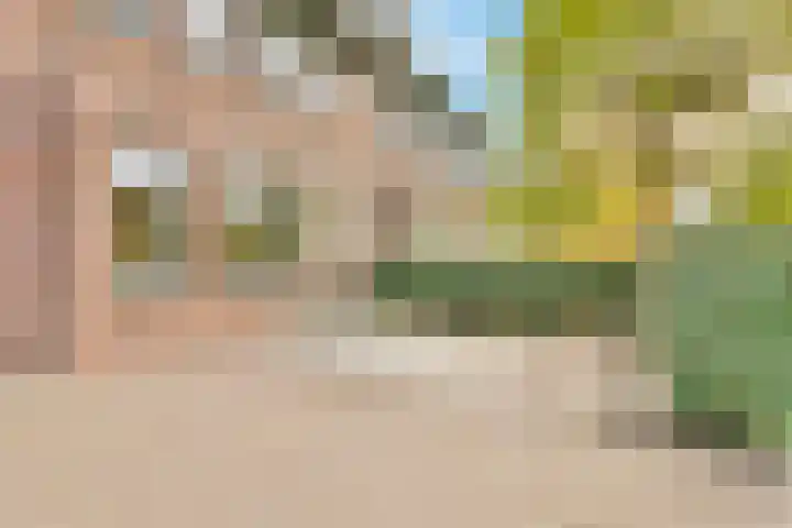 Seoellaan 5 Nieuw-Vennep thumbnail 6