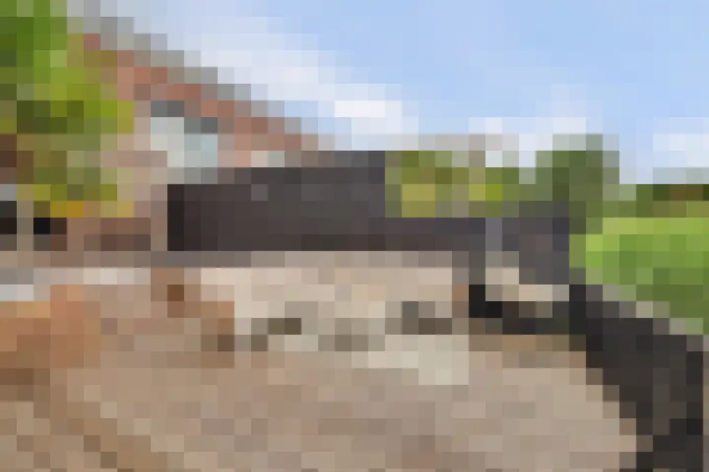 Seoulpad 7 IJsselstein thumbnail 46