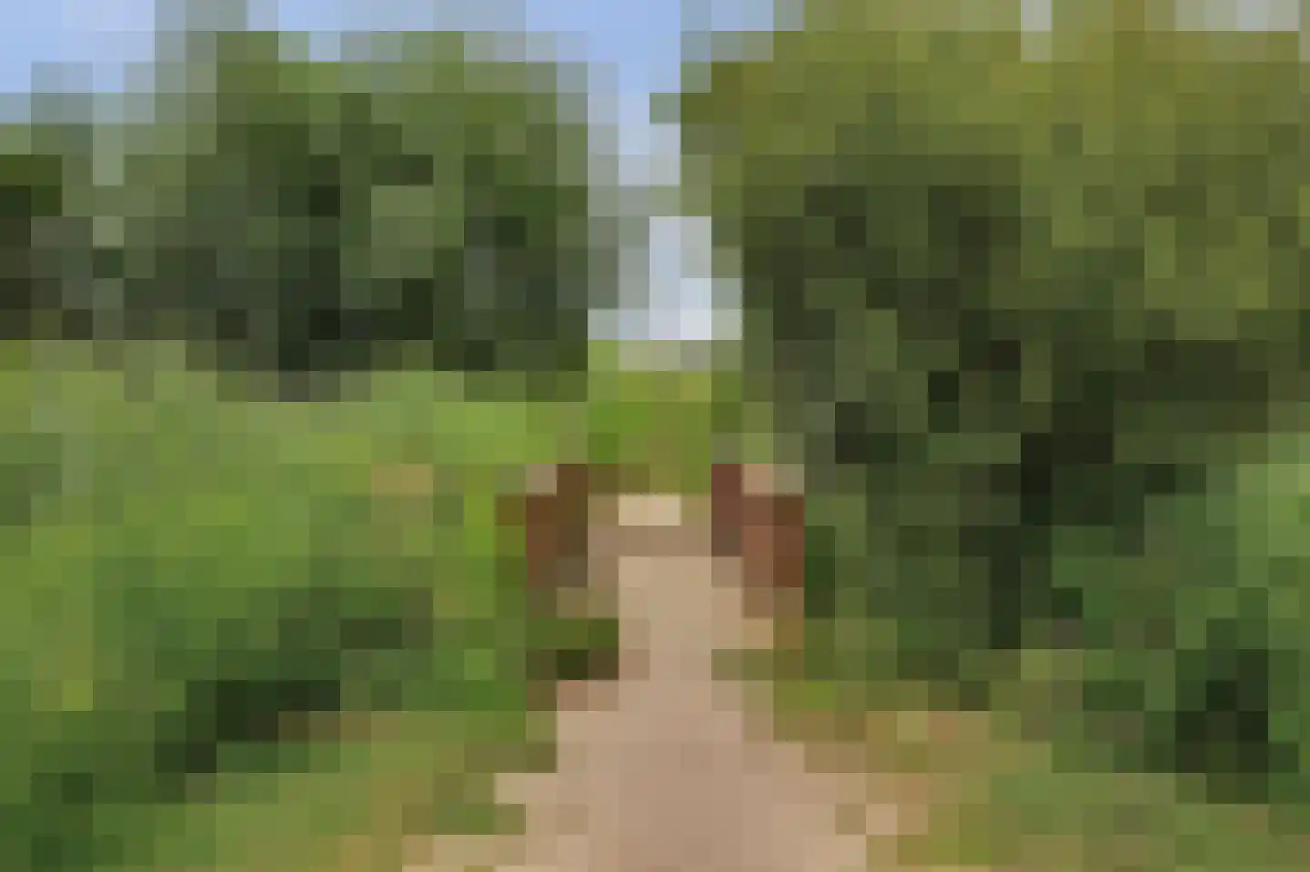 Seoulpad 7 IJsselstein thumbnail 48