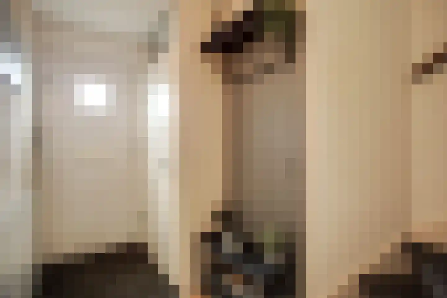 Sepiabruin 11 Zoetermeer thumbnail 10