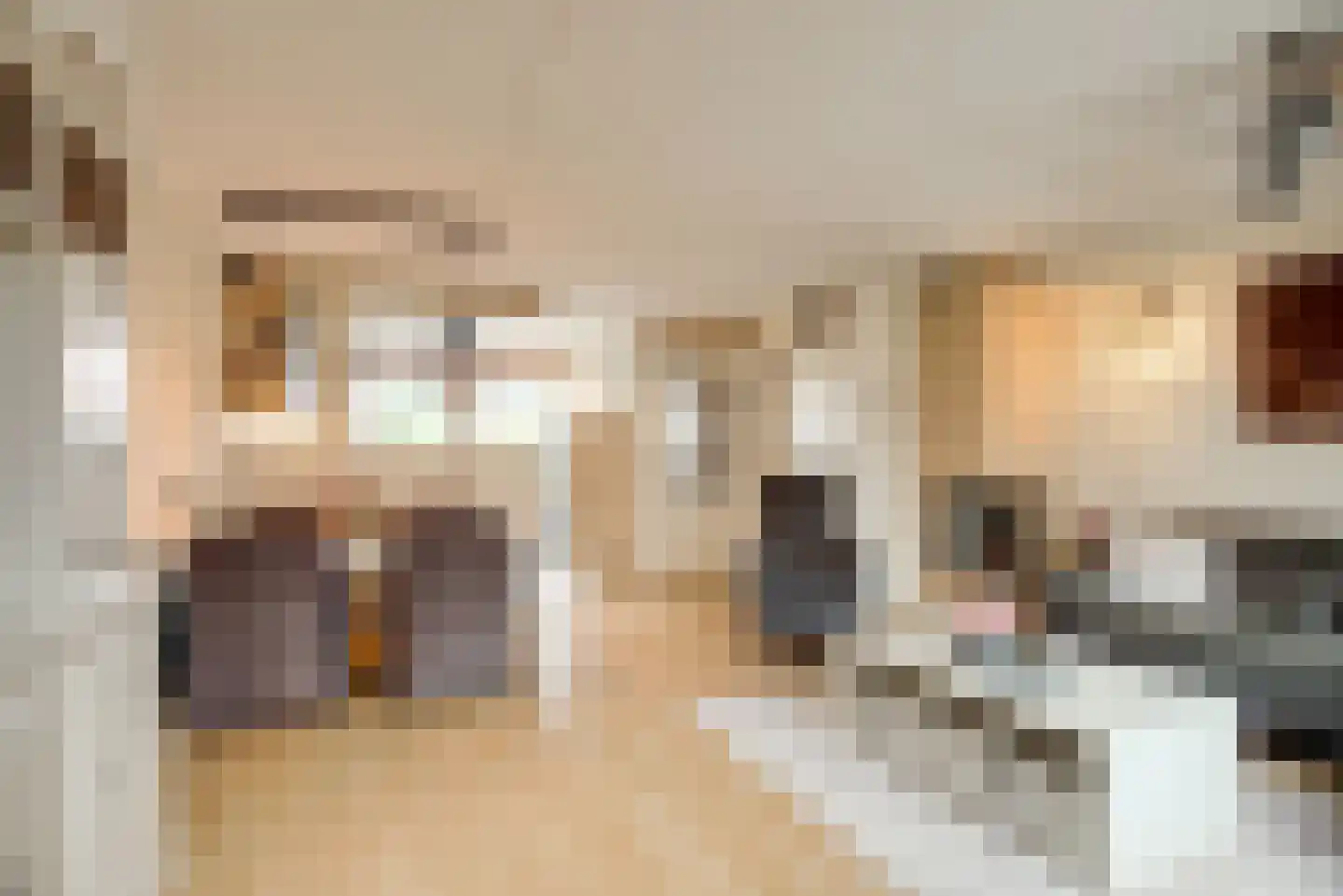 Sepiabruin 11 Zoetermeer thumbnail 16