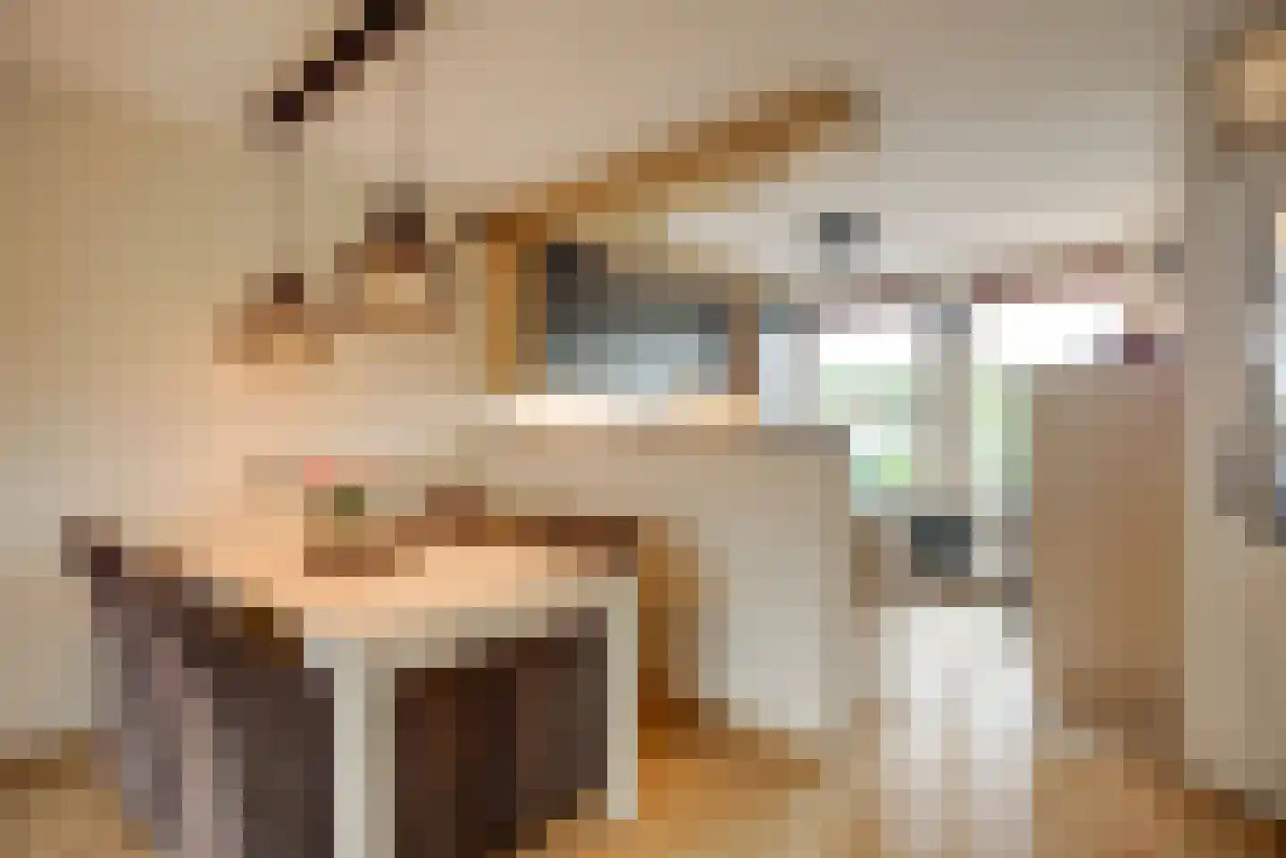 Sepiabruin 11 Zoetermeer thumbnail 18