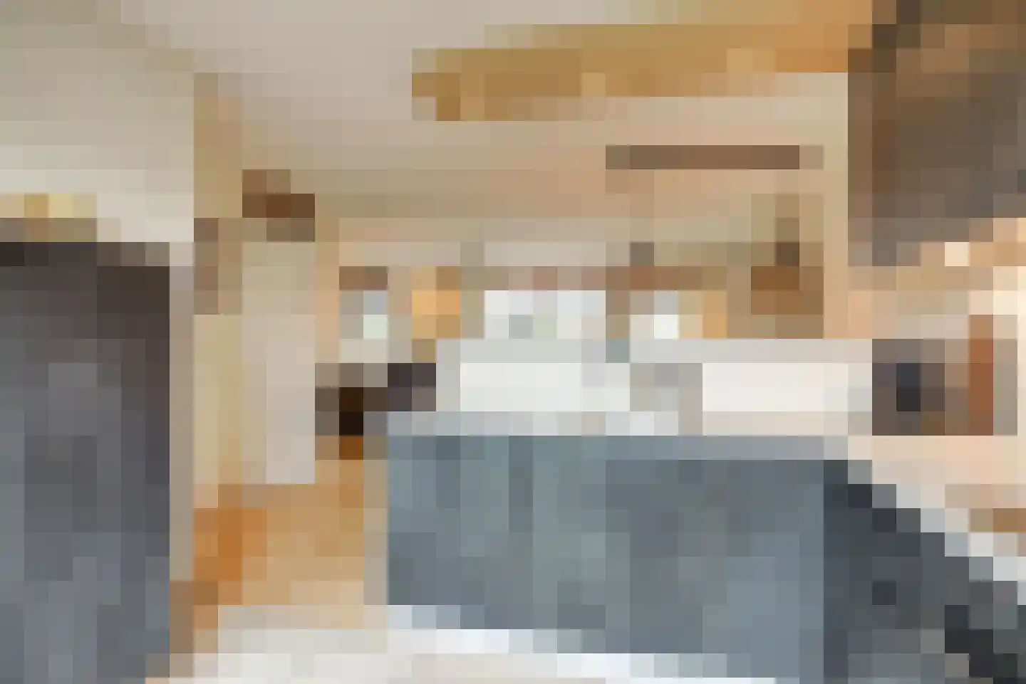Sepiabruin 11 Zoetermeer thumbnail 22