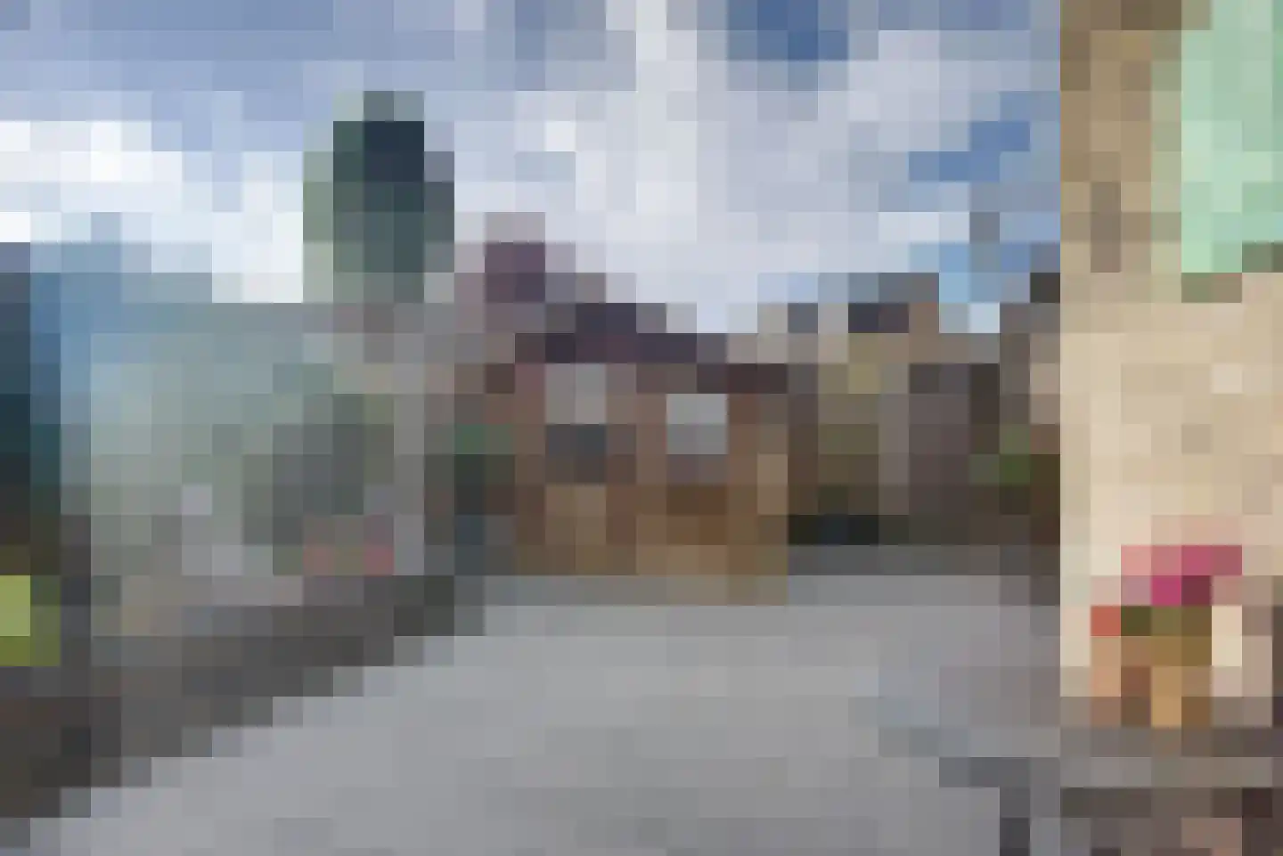 Sepiabruin 11 Zoetermeer thumbnail 27