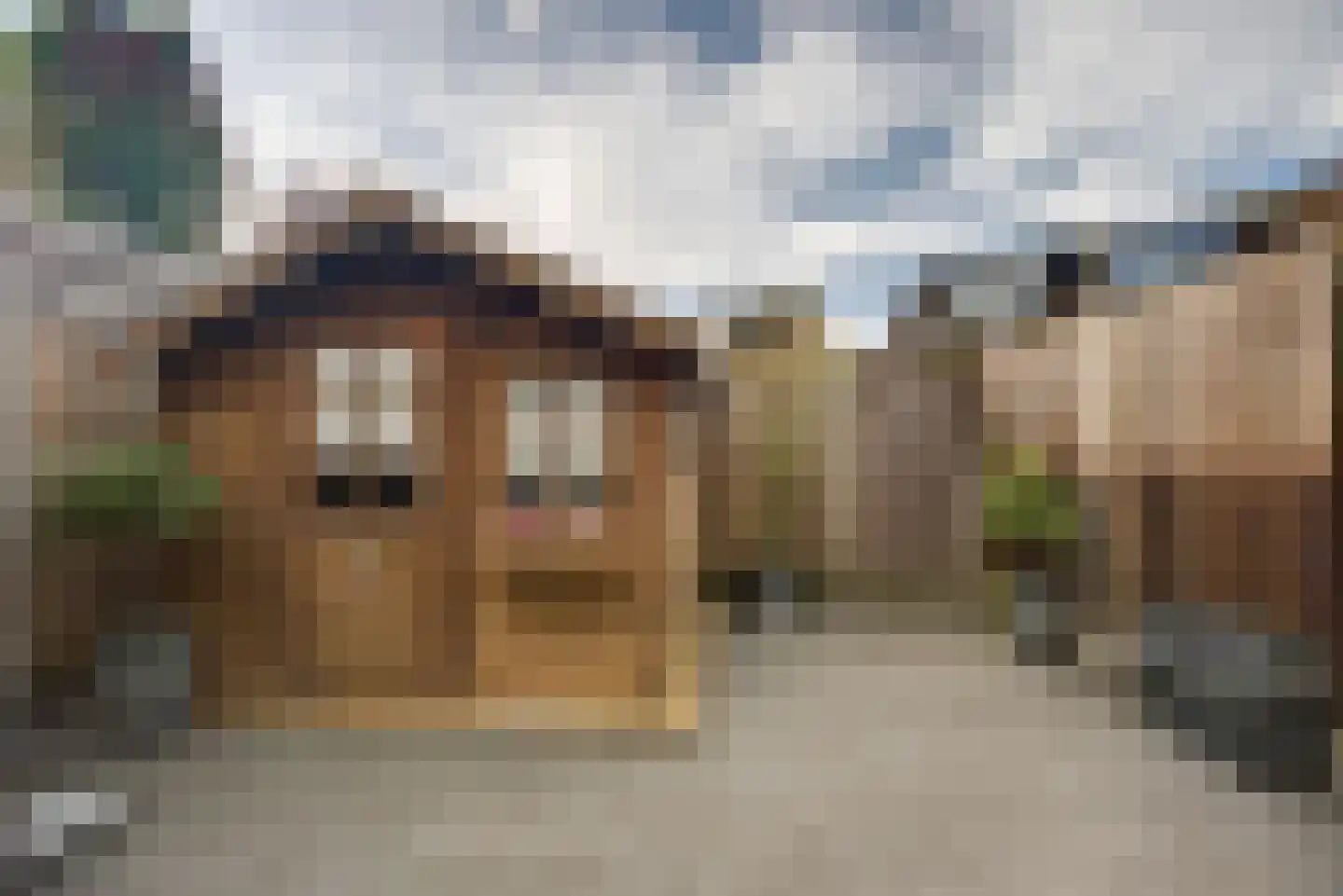 Sepiabruin 11 Zoetermeer thumbnail 29