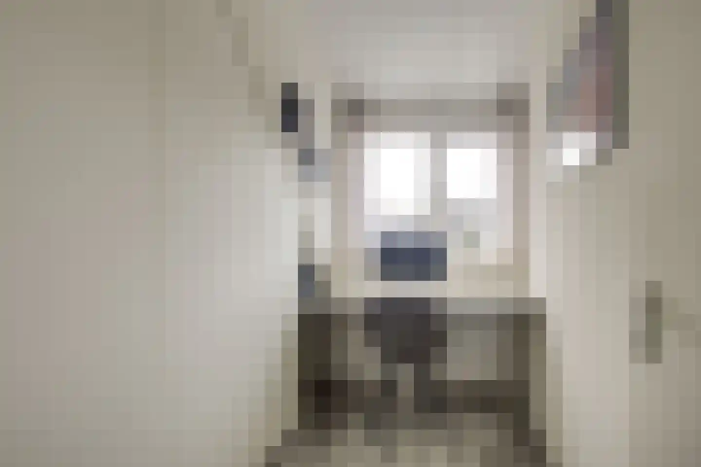 Sepiabruin 11 Zoetermeer thumbnail 35