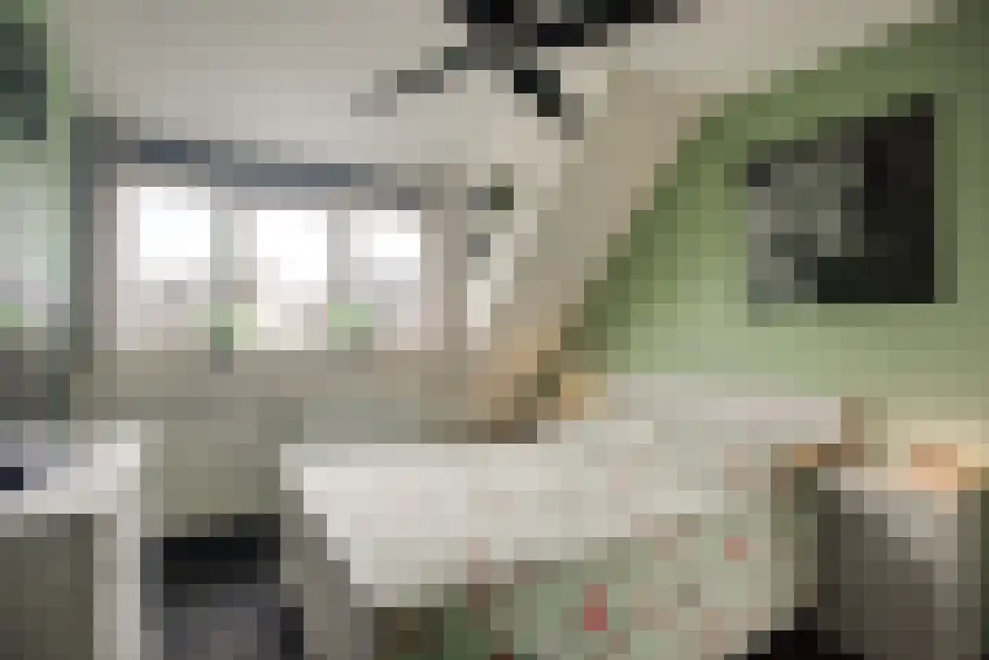 Sepiabruin 11 Zoetermeer thumbnail 36