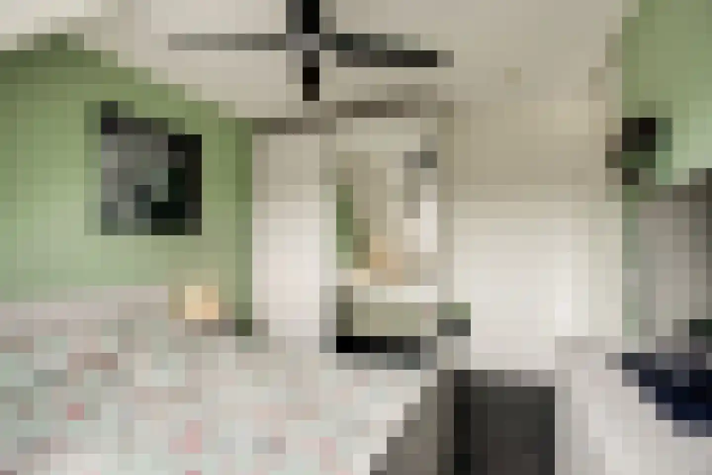 Sepiabruin 11 Zoetermeer thumbnail 37