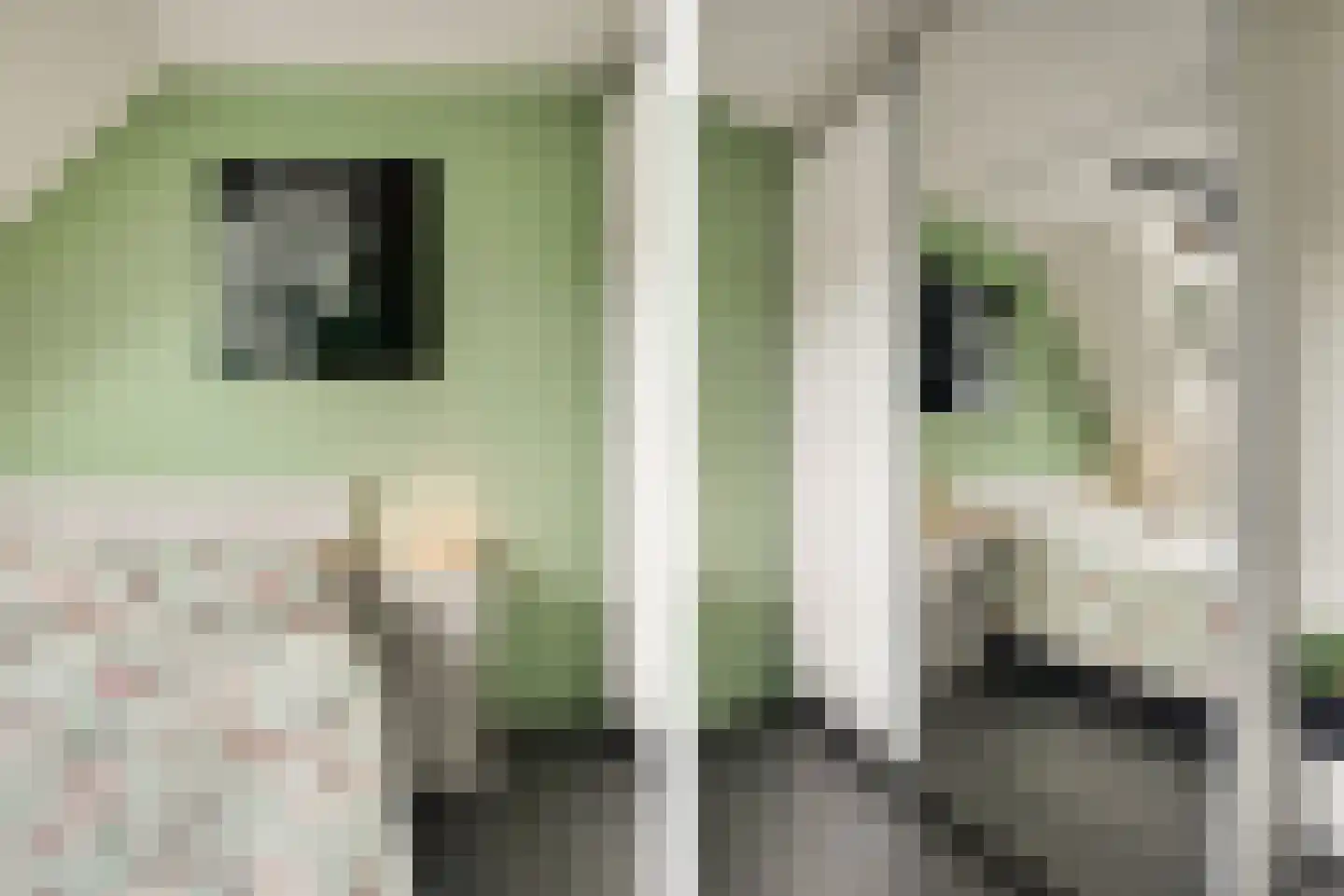 Sepiabruin 11 Zoetermeer thumbnail 38